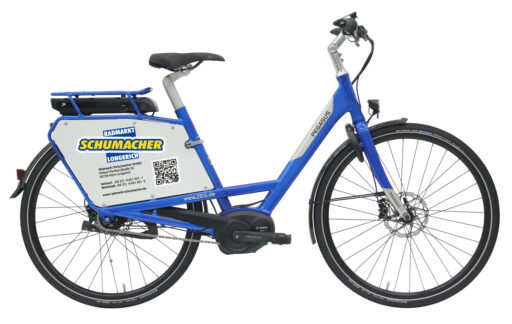 Pegasus Service E-bike